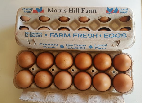 EGGS - Pasture Raised - Morris Hill Farm LLC